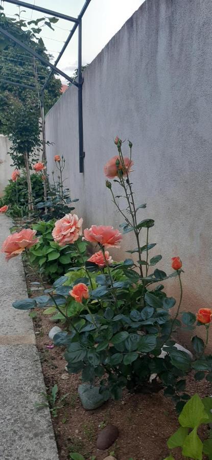 Guest House Vanja โมสตาร์ ภายนอก รูปภาพ